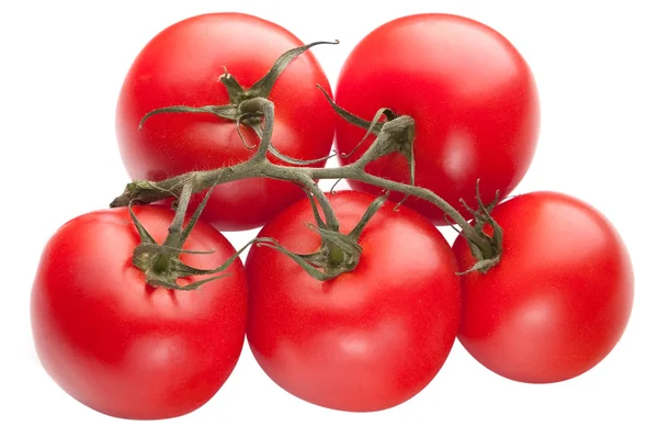 Bright red tomatoes isolated — Stock Photo, Image