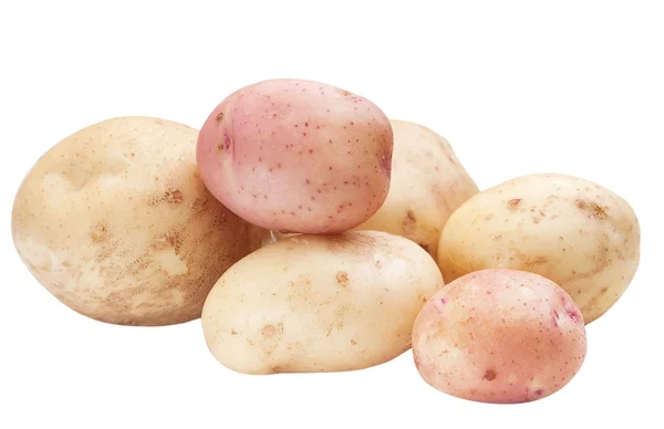 孤立的土豆 — 图库照片