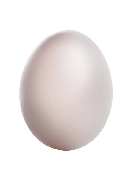 계란 분리 — 스톡 사진