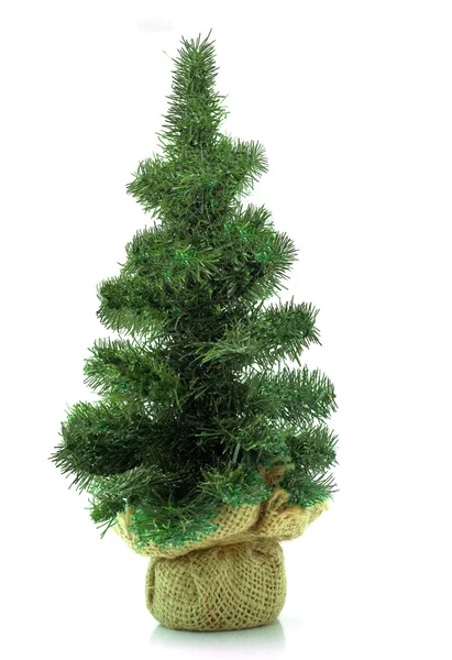 Weihnachtsbaum isoliert — Stockfoto