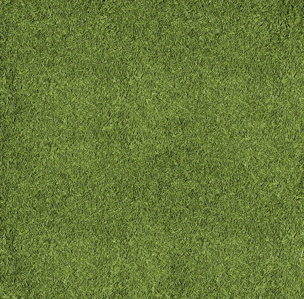 Textuur van gras — Stockfoto