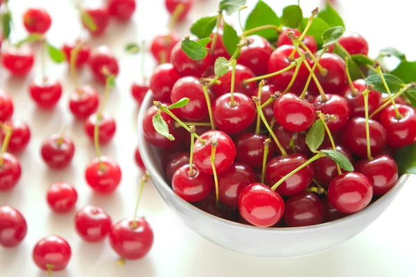 stock image Cherries in a bowl