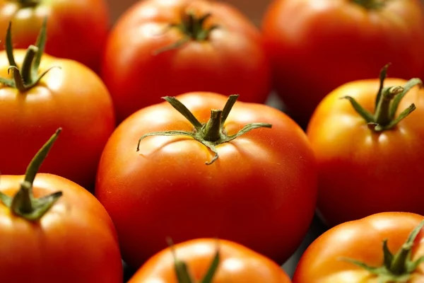 Parlak kırmızı domates — Stok fotoğraf