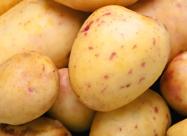 Potato close up — Stock Photo, Image