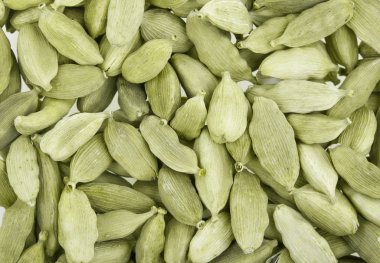 Cardamom whole clipart