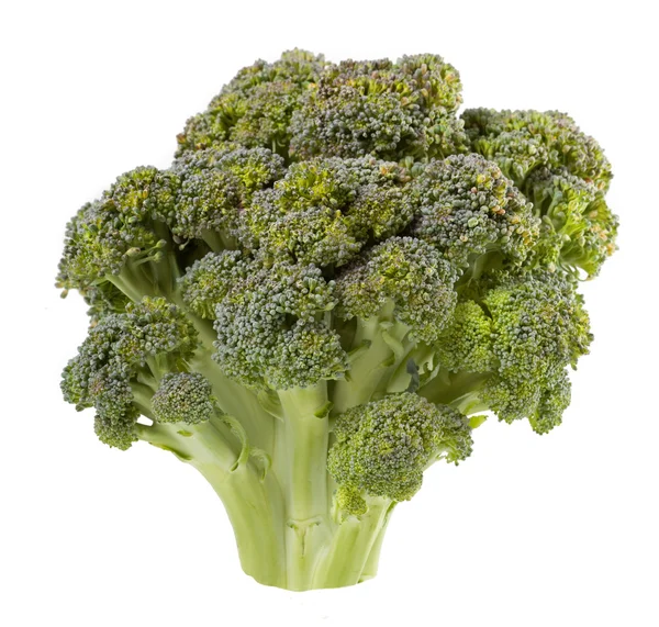 Izole brokoli — Stok fotoğraf