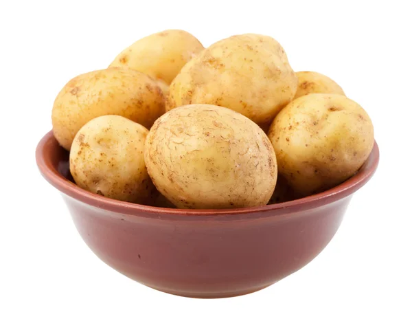 Young potatoes in a clay bowl — Stock Photo, Image