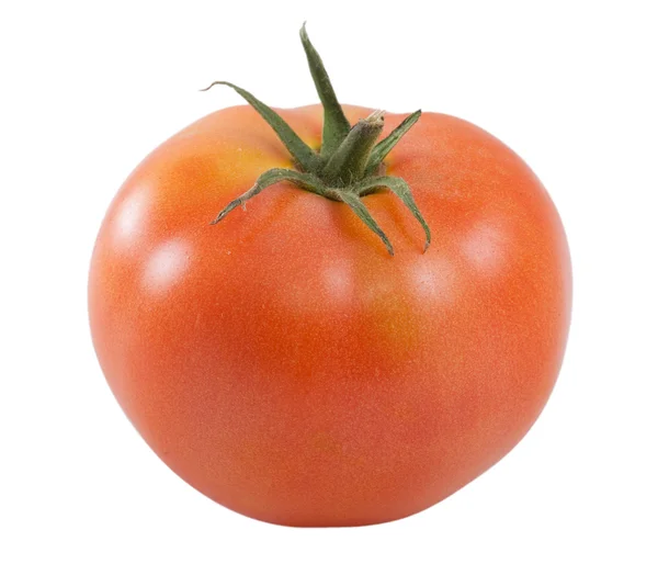 One tomato isolated — Stock Photo, Image