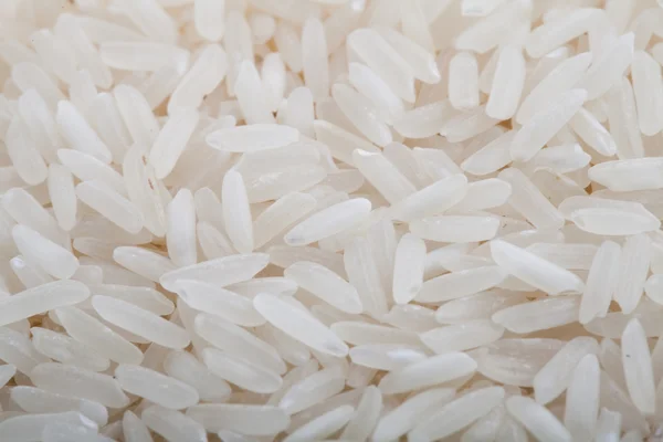 Primer plano de grano largo de arroz — Foto de Stock