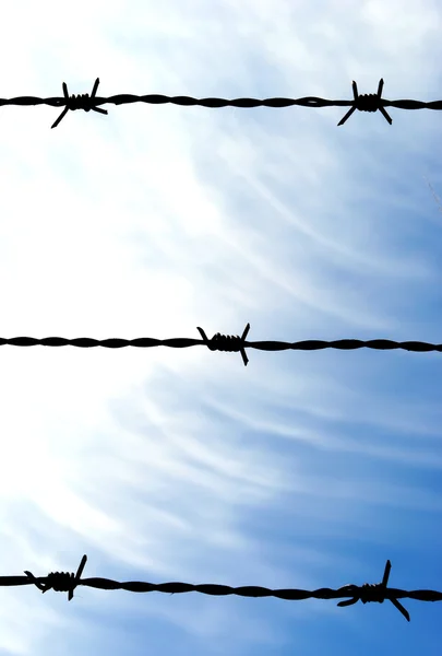 Barbed wire 04 — Stock Photo, Image