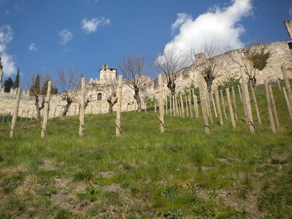 Castillo de Sabbionara — Foto de Stock