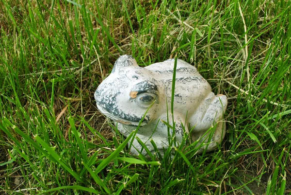 Frog plaster — Stock Photo, Image