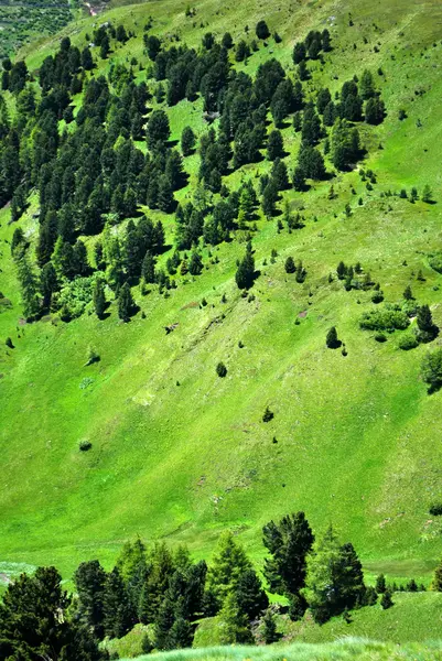 Dolomiti dağlar