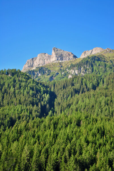 Summer portrait of Italian Dolomites in val di Fassa South Tyrol Alps Italy