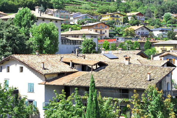 Village surrounded by vineyards and trees, nature