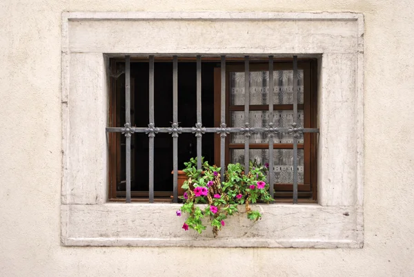 Fönster med järnrör — Stockfoto