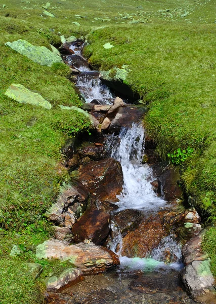 Stream i berget — Stockfoto