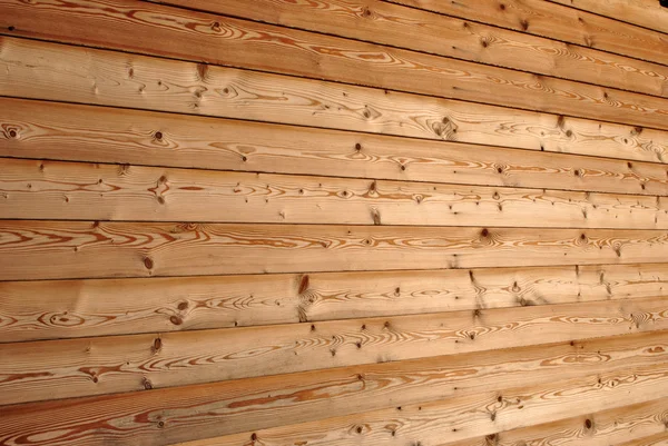 Textury osy borovice — Stock fotografie