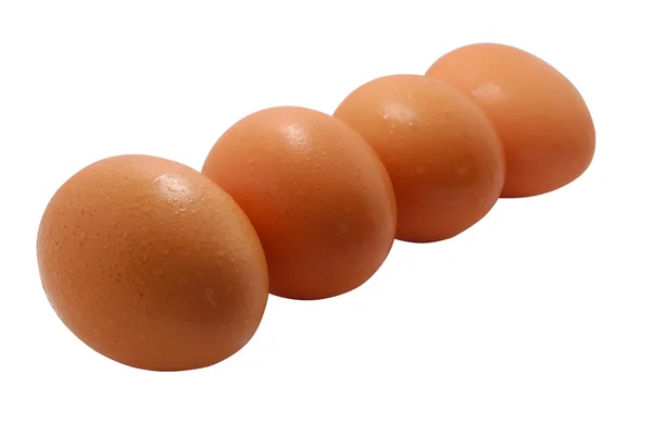 Четыре яйца . — стоковое фото