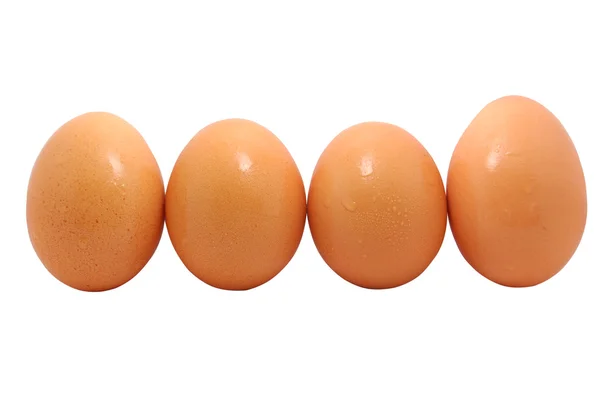 Четыре яйца . — стоковое фото