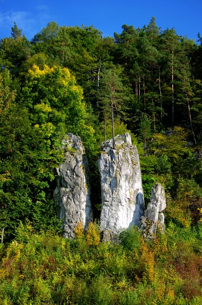 Formazione rocciosa — Foto Stock