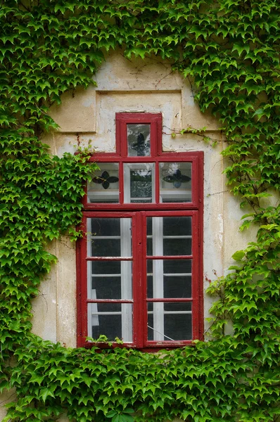Altes Fenster — Stockfoto