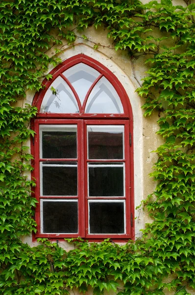 Vecchia finestra — Foto Stock