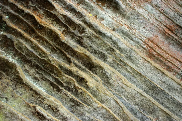 Uma rocha envolvida — Fotografia de Stock