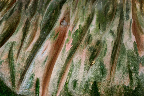 Işin içinde bir kaya — Stok fotoğraf