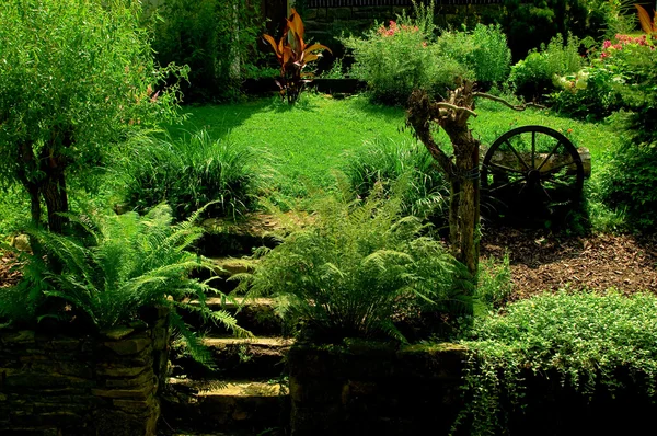 Un jardín modificado — Foto de Stock