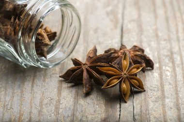 Star Anise (Illicium verum) clipart