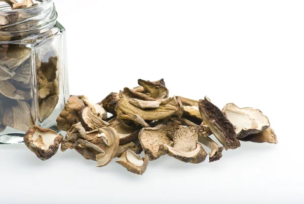 stock image Porcini Mushrooms