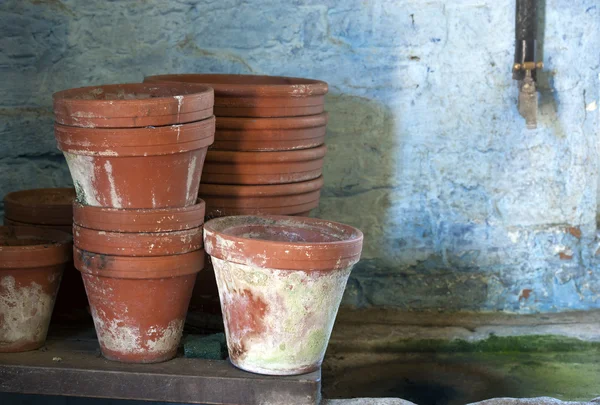 Plant Pots — Stock Photo, Image