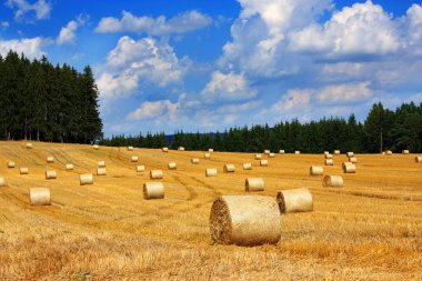 Bales of straw clipart