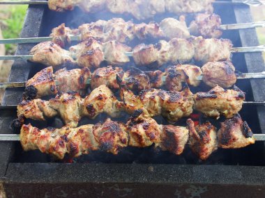 Shish kebab on the grill clipart