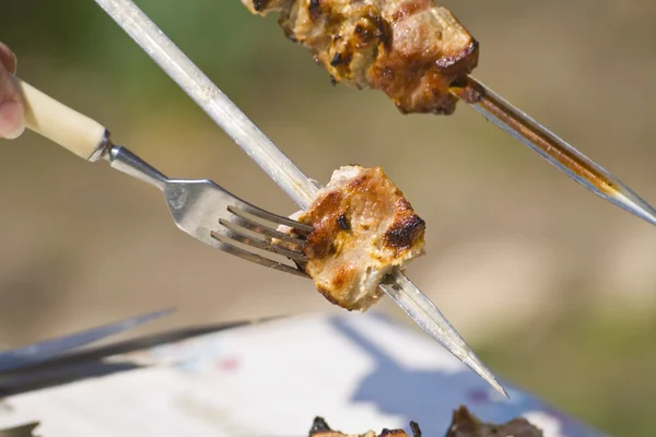 Shish kebab on the grill — Stock Photo, Image