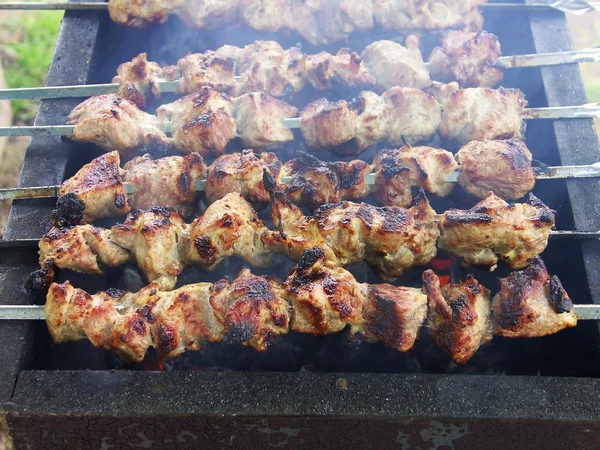 stock image Shish kebab on the grill