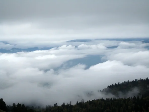 stock image Mountains; clouds, a fog, wood, trees