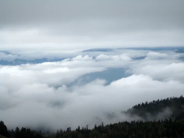 Montanhas; nuvens, nevoeiro, madeira, árvores — Fotografia de Stock