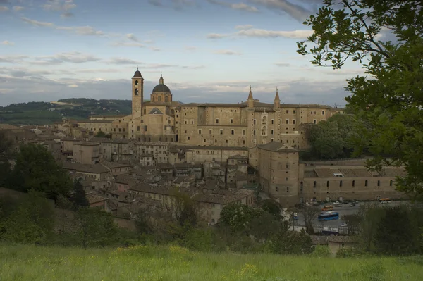 Urbino — Foto de Stock