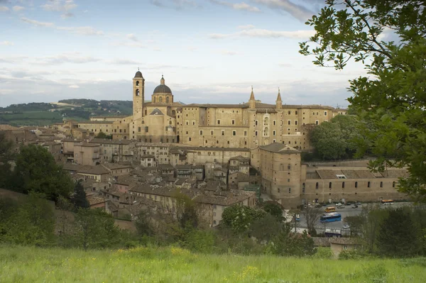 Urbino — Stok fotoğraf
