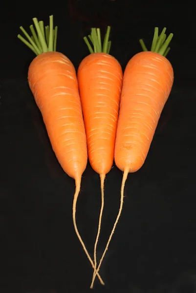 Três cenouras — Fotografia de Stock