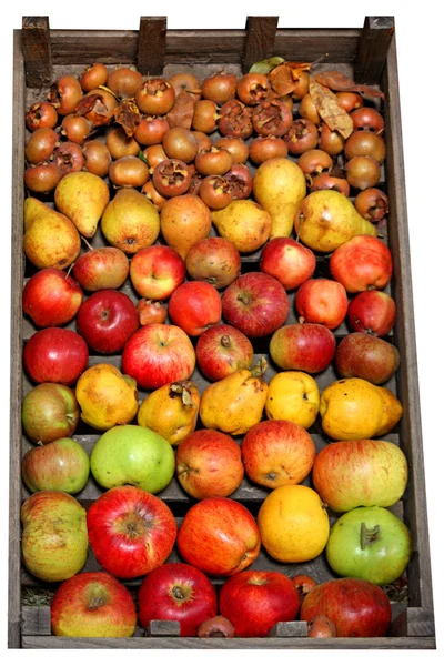 Caixa de frutas — Fotografia de Stock