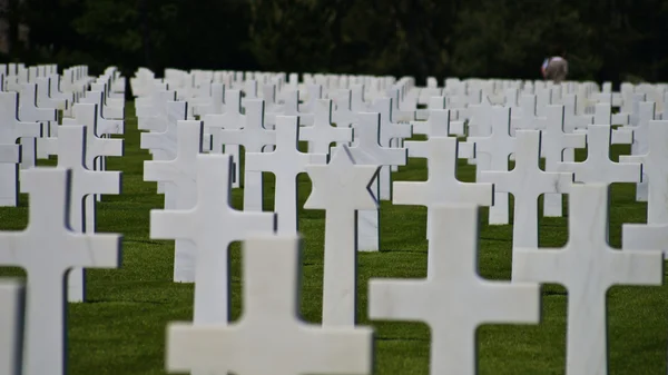 Американський кладовищі в Нормандії — стокове фото