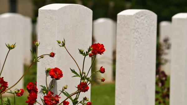 Amerikaanse begraafplaats in Normandië — Stockfoto