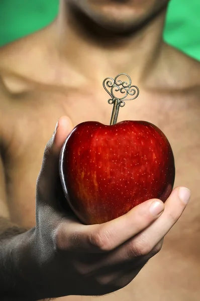 Red apple in man hand — Stock Photo, Image