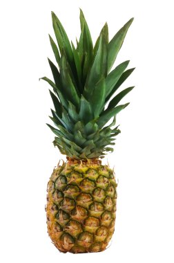 izole ananas