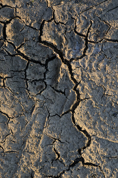 Трещина в текстуре 2
