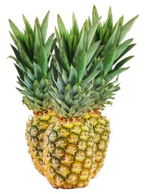 izole ananas