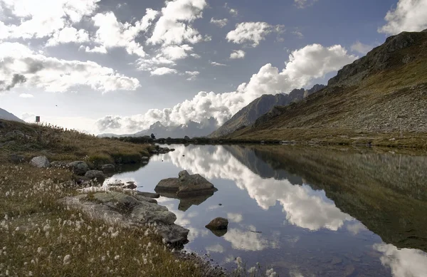 stock image Reflection